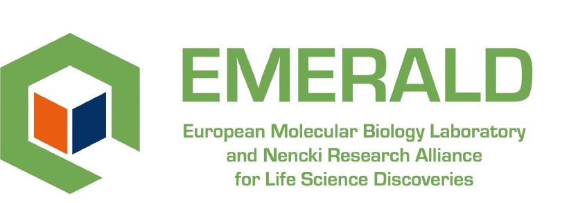 Emerald Logo